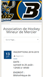 Mobile Screenshot of hockeymercier.com